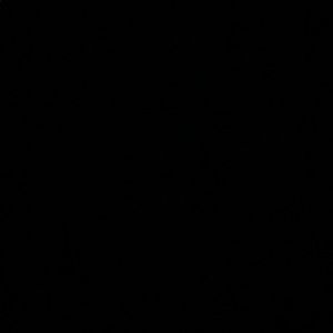 Meet your Posher, Chase